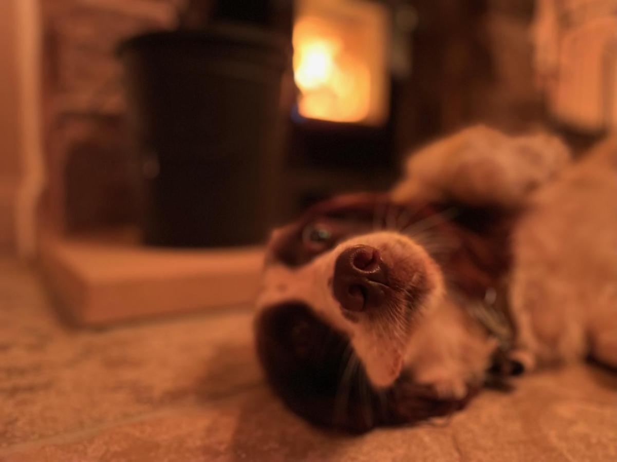 Taddington Muddy Paws Cottages - The Nook מראה חיצוני תמונה